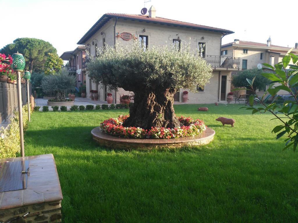 Domus Angeli Otel Assisi Dış mekan fotoğraf